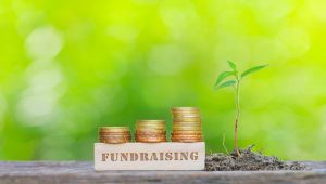 Fundraising Image with Growing Plant and Money