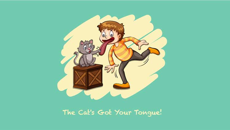 cat got your tongue