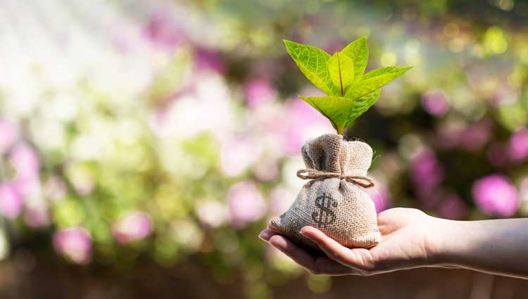 An image of giving money that will grow similar to a Charitable Remainder Trusts.