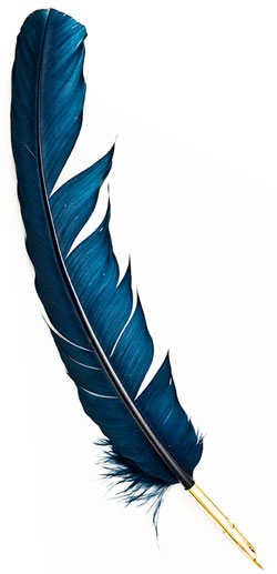 Dark blue quill pen with gold tip, symbolizing legacy, bequests, and the timeless act of writing a will.